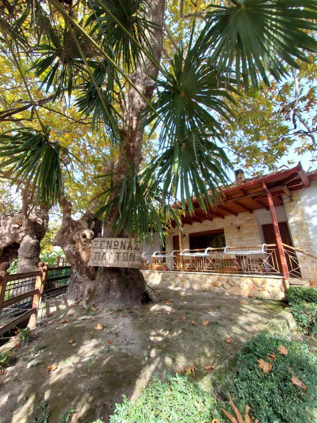 Guesthouse Platon Órma Exteriér fotografie