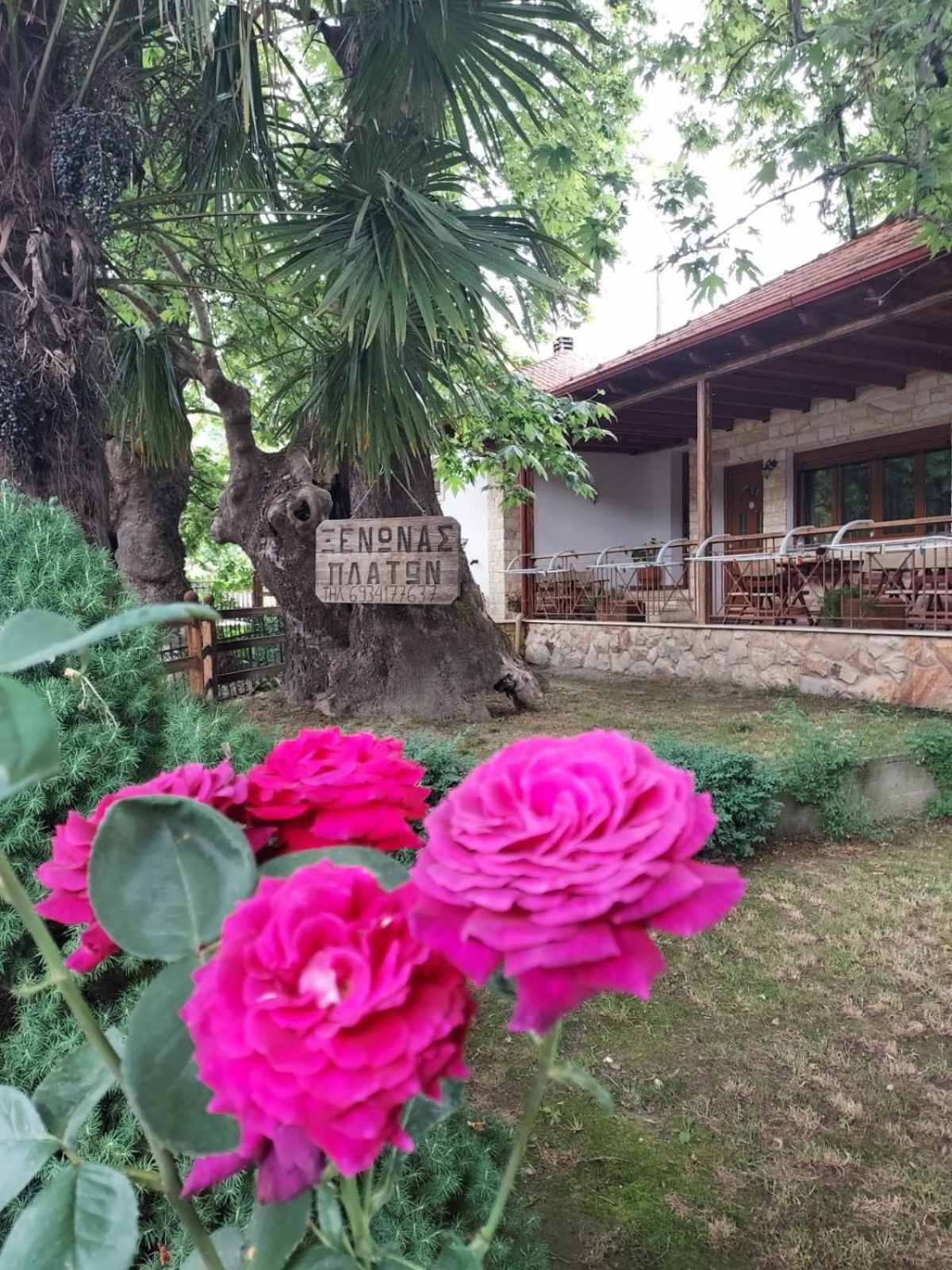 Guesthouse Platon Órma Exteriér fotografie