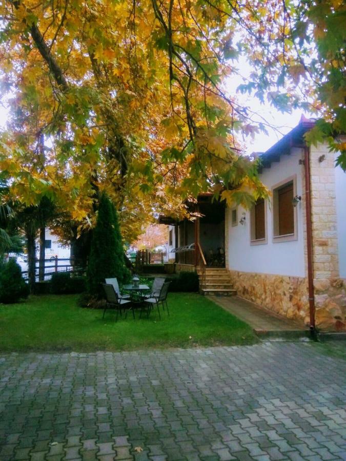 Guesthouse Platon Órma Exteriér fotografie
