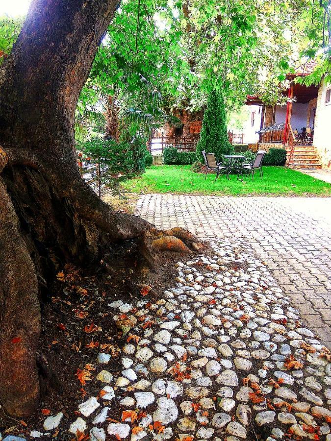 Guesthouse Platon Órma Exteriér fotografie